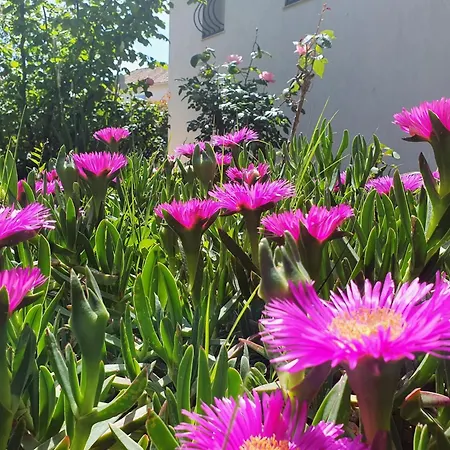 Villa Le Ranch Oupia