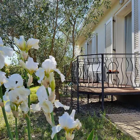 Le Ranch Villa *