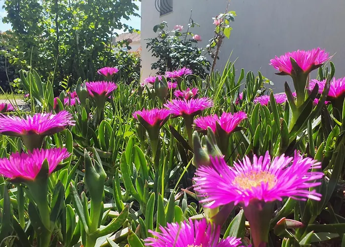 Βίλα Le Ranch Oupia